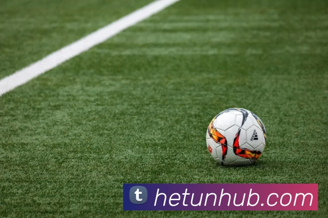 河豚直播官网APP 高清赛事图