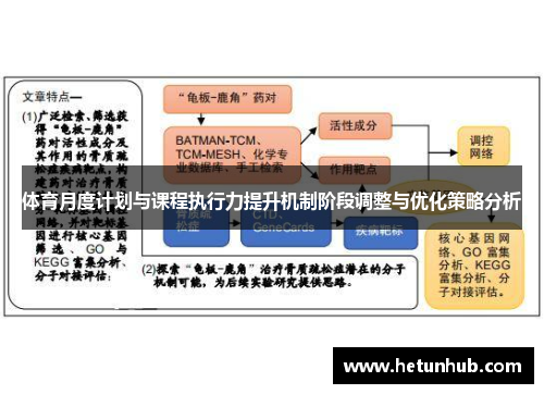 体育月度计划与课程执行力提升机制阶段调整与优化策略分析